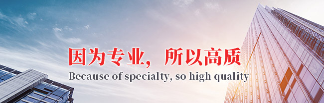 公司(si)簡(jian)介